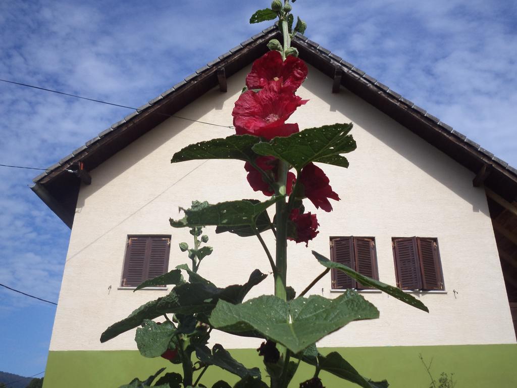 Guesthouse Loncar Plitvicka Jezera Luaran gambar